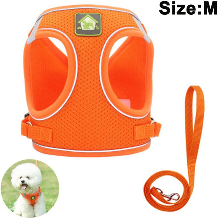 Comparer les prix de Harnais pour chien Harnais de sécurité anti-traction/sans traction Harnais de poitrine pour chien petit/moyen rembourré doux et