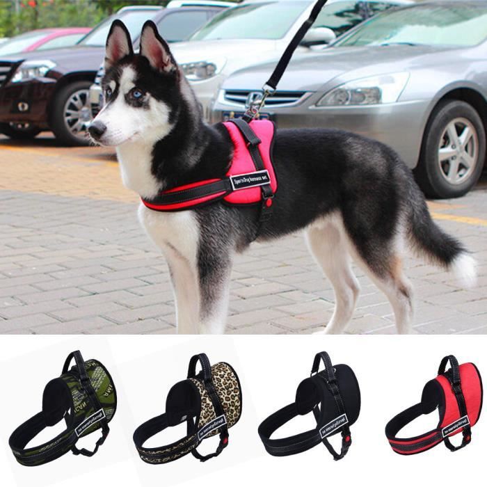 Gilet de Chien Harnais Maille Anti-/évasion sans /étranglement Gilet rembourr/é Sangles de Poitrine de Chat r/éfl/échissantes pour Animal de Compagnie S,Pink Coriver Ensemble Harnais et Laisse de Chat