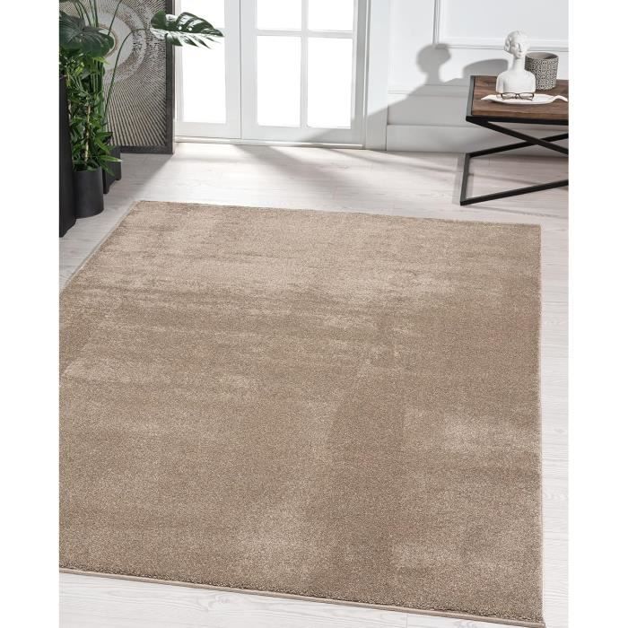 Tapis Taupe Salon