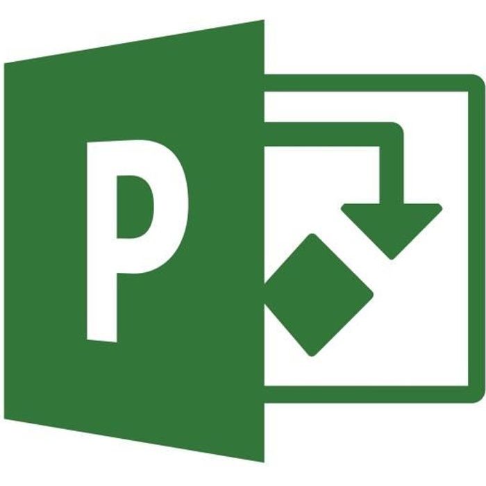 Microsoft Project Professional 2019 Licence 1 PC téléchargement ESD Click-to-Run Win All Languages zone euro
