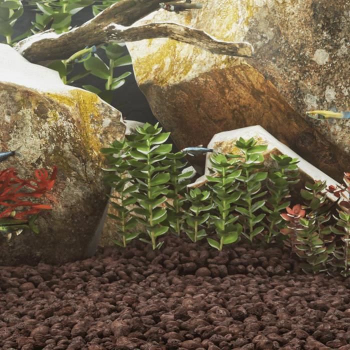 Comparer les prix de Roches volcaniques - VIDAXL - 25 kg - Rouge - 5-8 cm