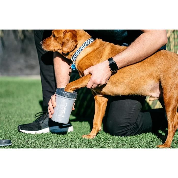 Nettoyeur de pattes pour chiens Dexas MudBuster - Sherbrooke Canin