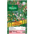 Gazon Japonais - VILMORIN - Graine - Ornement - Fleurs annuelles naines-0