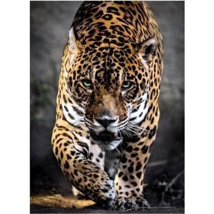 PUZZLE Puzzle Adulte - CLEMENTONI - Le Jaguar - Collection Animaux Sauvages - 1000 pièces