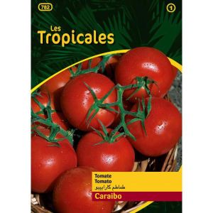 GRAINE - SEMENCE Sachet graines LES TROPICALES - Tomate Caraibo