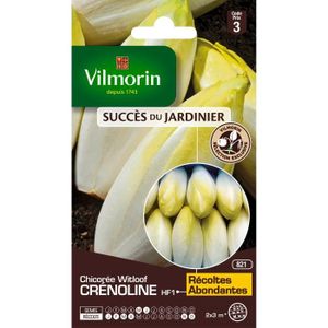 GRAINE - SEMENCE VILMORIN Chicorée Witloof Endive Crenoline HF1 cré