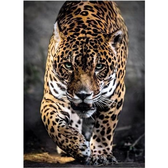 Puzzle Adulte : Le Jaguar - Collection Animaux Sauvages - 1000 Pieces