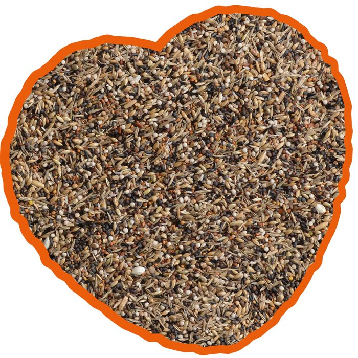 Meilleurs prix pour Nourriture pour oiseaux tarin et chardonneret spécial Duvoplus