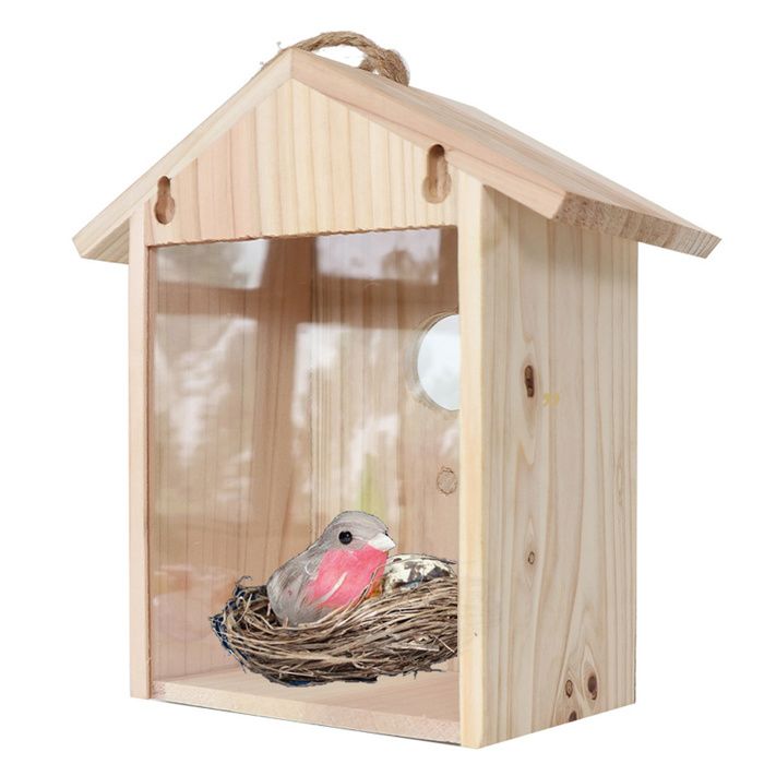 Nichoir à Oiseaux Extérieur à Suspendre - Cabane en Bois Avec Fenêtre Transparente pour Observation - Pour Oiseaux Sauvages