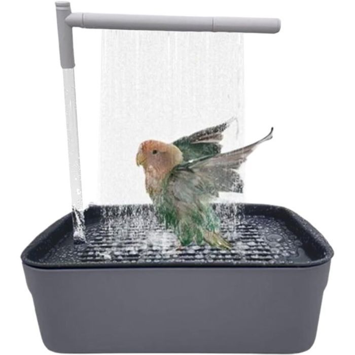 Bassin de bain pour oiseaux rechargeable — Douchette automatique pour perroquets