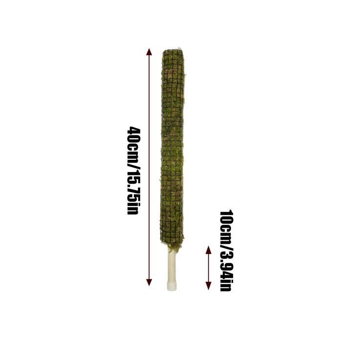 Tuteur Mousse Auto-arrosage - 44cm + 80cm - Plantes Grimpantes