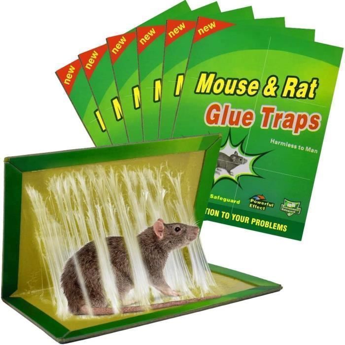 6 Pièges à Colle Grand Format - 120x28 Cm - Anti Souris, Cafards, Insectes - Non Toxique