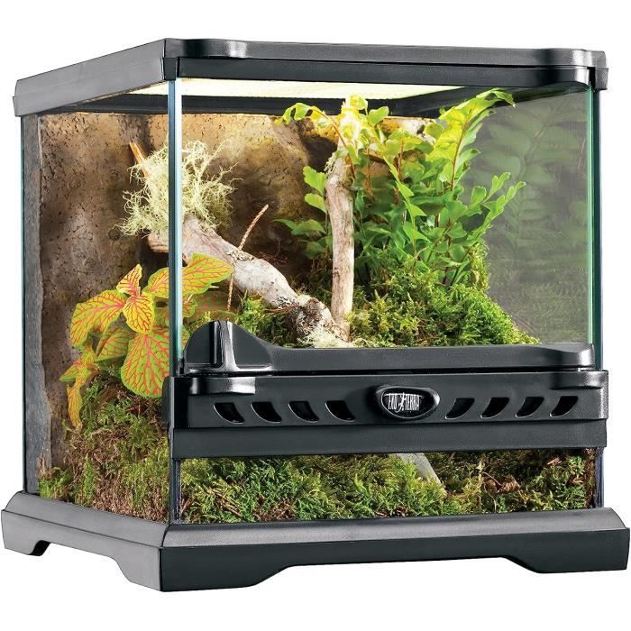 Exo terra Terrarium Naturel NanoWide pour ReptileAmphibien 20 x 20 x 20 cm85 Cdiscount