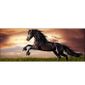 Stickers Tete De Lit Deco Cheval Tete De Lit 100x39cm Achat Vente Tete De Lit Stickers Tete De Lit Deco Chev Cdiscount