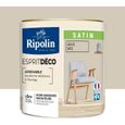 RIPOLIN - Esprit Déco Multi-supports -  Beige wes - Satin - 0,5L-1
