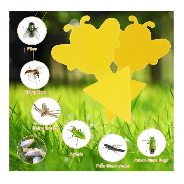 MENNYO 20 Pieces Anti Moucheron Plante,Attrape Mouche Interieur,Pièges à  Insectes,Cuisine Sticky Bug Catchers pour Jardin Fleur Fruits : :  Jardin