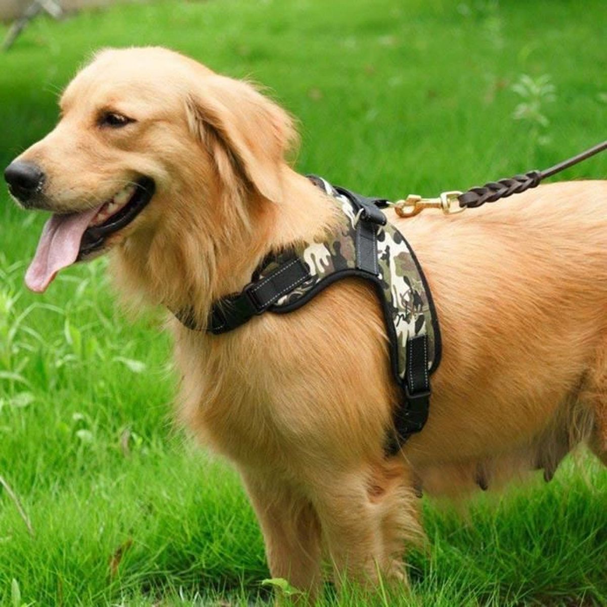 MerryBIY Chien Poitrine de Sport Harnais Gilet Pour Gros Chiens Assistance R/églable Souple Rembourr/é avec Poign/ée Confortable Robuste pour Formation de Chiens Grand//Moyen Taille S, Camouflage