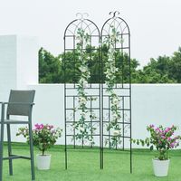 Treillis de jardin en set de 2 pièces Barrea acier 220 x 102 cm noir