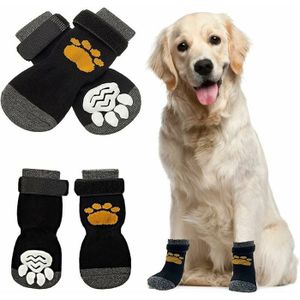 Protection patte chien blesse Cdiscount