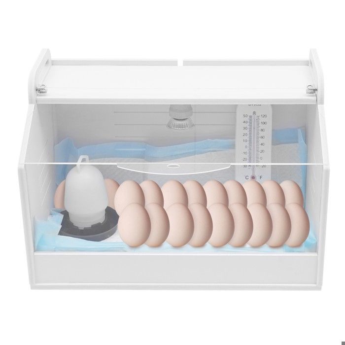 Incubatrice Couveuse pour poussins Boîte de couvaison Lampe chauffante Fenêtre transparente Boîte délevage de poussins