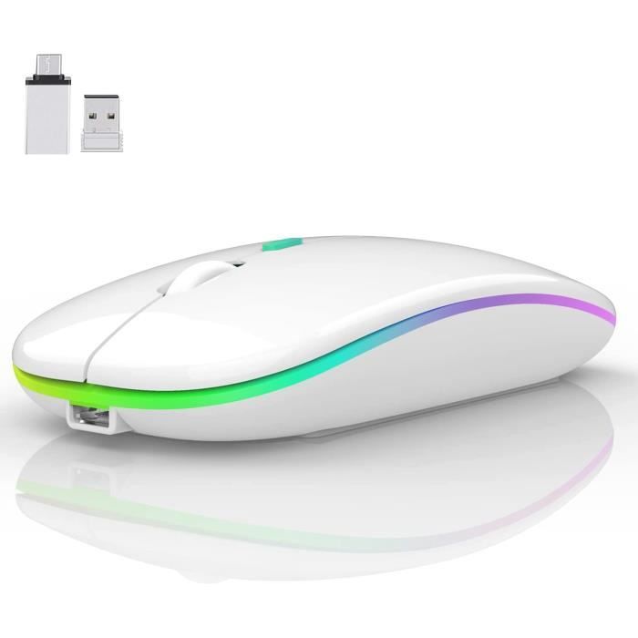 Souris sans fil Bluetooth USB rechargeable RGB Souris BT5.2 pour ordinateur  portable PC Macbook Gaming Mouse 2.4GHz 1600dpi - Noir - Cdiscount  Informatique