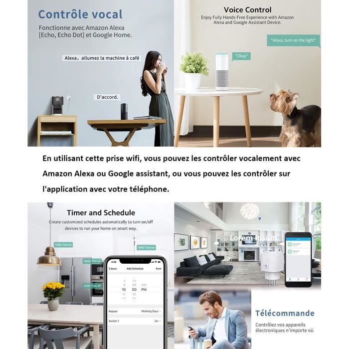 Prise Connectée WiFi Schuko 10A Avec Timer, Compatible Alexa Et Google Home