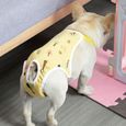 CULOTTE HYGIENIQUE - COUCHE - INCONTINENCE - PROTECTION MENSTRUELLE - CHALEURS Dog Pants Menstruation style-Yellow-M2-0