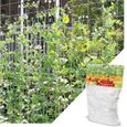 Filet de treillis pour plantes hydroponiques - 1.67m x 10 m - En maille polyester robuste - Pour plantes grimpantes-0