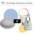 Pack "OK Google allume les lumières" : Google Nest Mini (Galet) + prise + ampoule PlugnSay Color Bulb-0