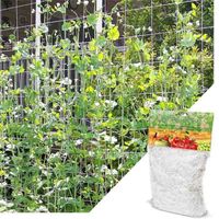 Filet de treillis pour plantes hydroponiques - 1.67m x 10 m - En maille polyester robuste - Pour plantes grimpantes