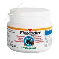 Complément alimentaire anti-arthrose Flexadin pour chien et chat - Vetoquinol - 30 comprimés