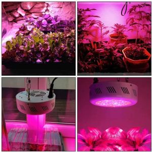 Eclairage horticole 300w UFO Grow Led Horticole Floraison Lampe pour P