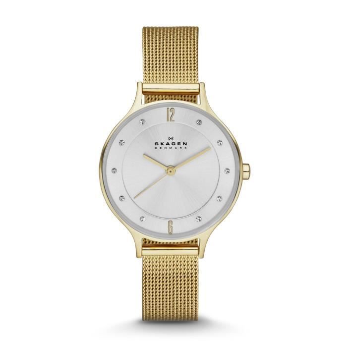 Skagen Montre Femme SKW2150