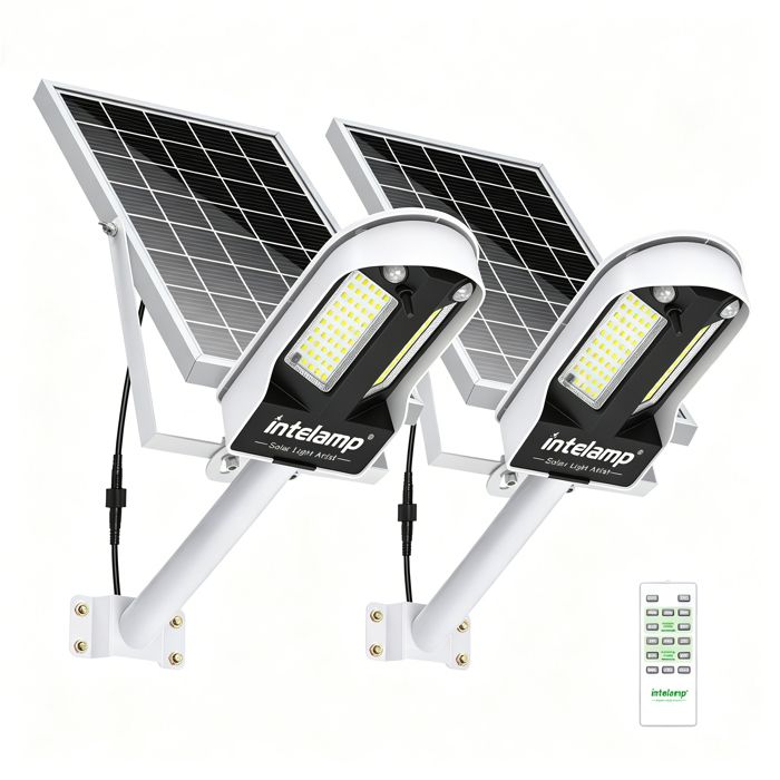 Intelamp Lot de 2 Projecteurs Solaires 3000LM 12500mAh Détecteur PIR Étanche IP65 pour Jardin et Extérieur