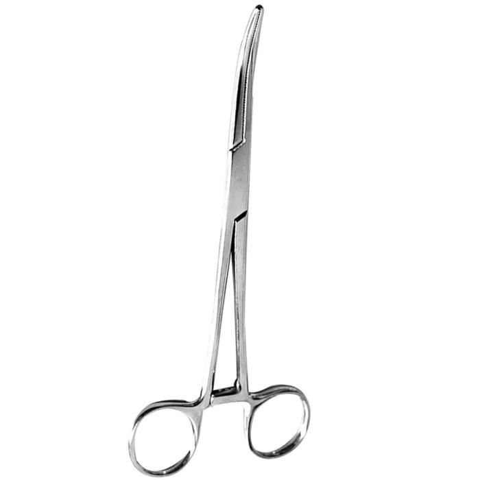 Kit D'instruments Dentaires Chirurgicaux 12 Pièces - Ciseaux, Pinces Hémostatiques En Acier Inox - Neuf