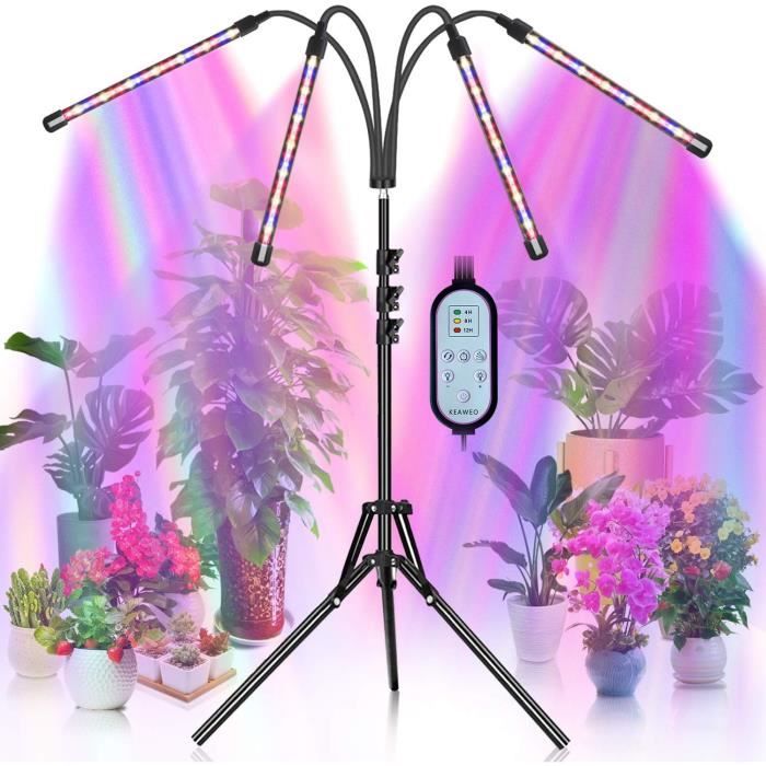 Lampe Pour Plantes Interieur, LED à Spectre Complet 5 V DC, USB Lampe De  Plante, Phytolamp à Intensité Variable Pour Plantes, L A457 - Cdiscount  Jardin