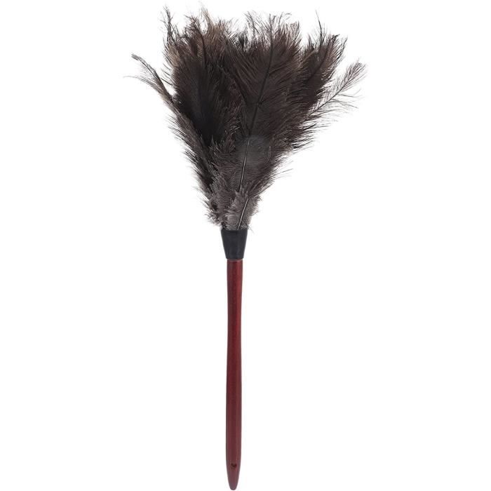 Redecker Plumeau En Plumes D'autruche - Manche Bois De Hêtre 35 Cm - Dépoussiéreur Traditionnel De Qualité