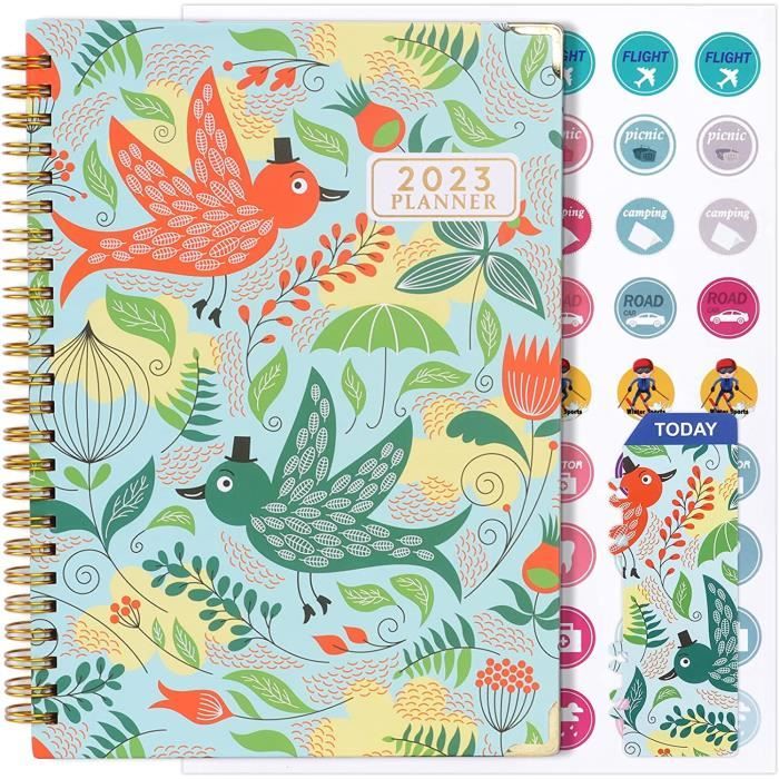 Agenda 2023-2024: Planificateur Semainier En Papier, En Français, De 2 Ans, 24 Mois De Janvier 2023 à Décembre 2024, 165 Pages, Couverture Florale Design Unique De Printemps (French Edition): Lar, Mary