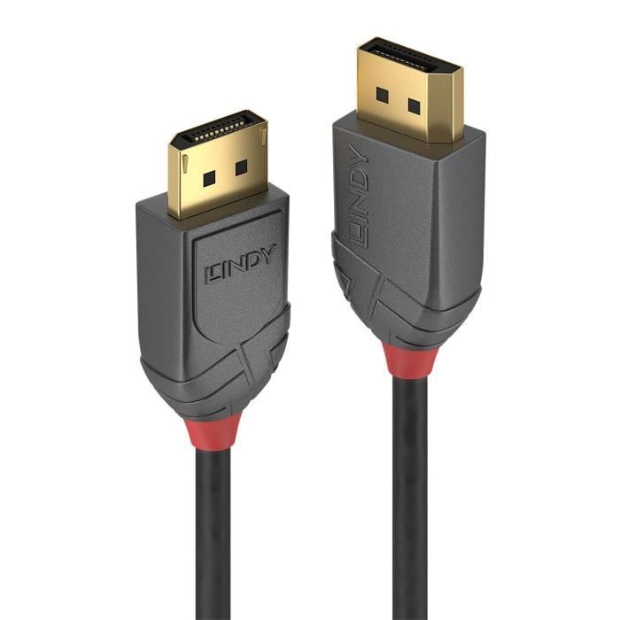 10m LINDY C/âble Anthra Line DisplayPort 1.2 Cable