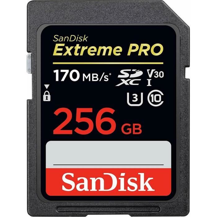 Carte mémoire SDXC SanDisk Extreme PRO 170 Mo/ Classe 10 U3 V30 - vue 1