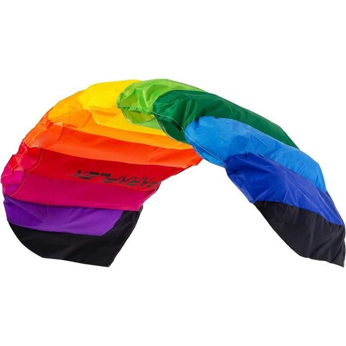 Wolkenstürmer® Paraflex Basic 2-Leiner Lenkmatte 1.2 (türkis) - Kite Drachen mit Flugschlaufen