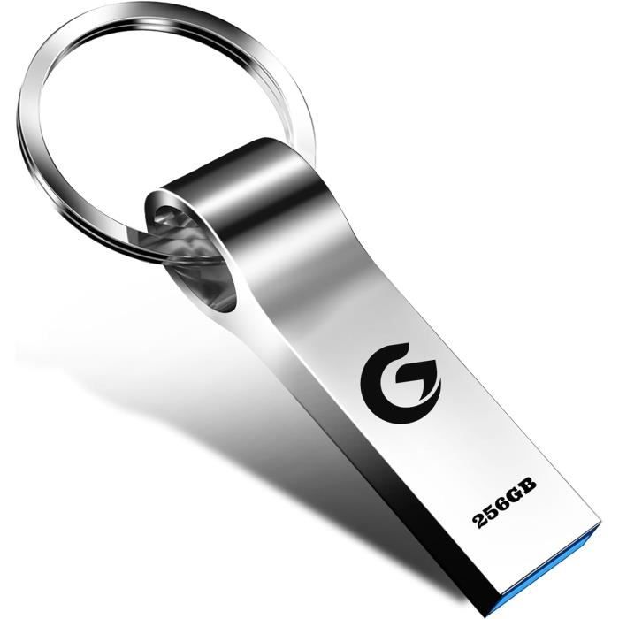 Cle Usb 256 Go Portable Clé Usb 3.0 Capacité De Larege Clef Usb Métallique Pendrive Pour