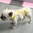 CULOTTE HYGIENIQUE - COUCHE - INCONTINENCE - PROTECTION MENSTRUELLE - CHALEURS Dog Pants Menstruation style-Yellow-M2-1