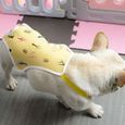 CULOTTE HYGIENIQUE - COUCHE - INCONTINENCE - PROTECTION MENSTRUELLE - CHALEURS Dog Pants Menstruation style-Yellow-M2-2