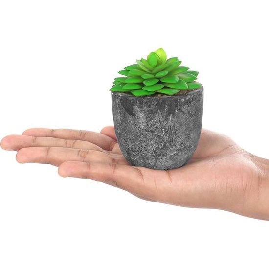 BELLE VOUS Mini Plante Artificielle Interieur Succulente en Pot Gris (6  Pièces) - Fausse Plante Cactus & Succulentes - pour Maison, Bureau, Table  et Salle de Bains : : Cuisine et Maison