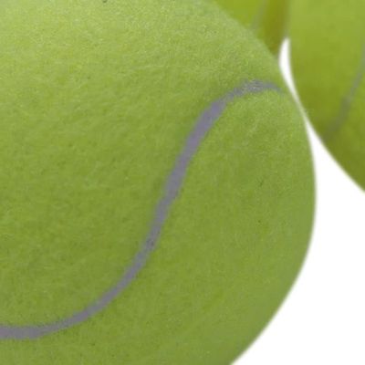 Sharples N Grant Lot de 6 balles de Tennis pour Chien Sharples N Grant Lot de 6 balles de Tennis pour Chien