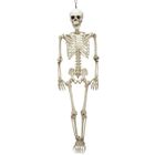 DEGUISE TOI Décos et animations - Squelette articulé 90 cm Halloween