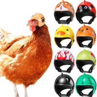 Poules 6 pièces, couvre-chef drôle pour animaux de compagnie de poulet, accessoires de petits Costumes pour perruche