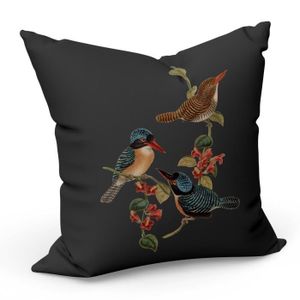 Weiy Motif Perroquet Housse de Coussin carrée Oiseaux tropicaux pour décor de Chambre à Coucher canapé-lit comme Photos 1 
