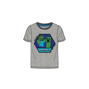 T-SHIRT T-shirt gris clair Minecraft : 6 ans